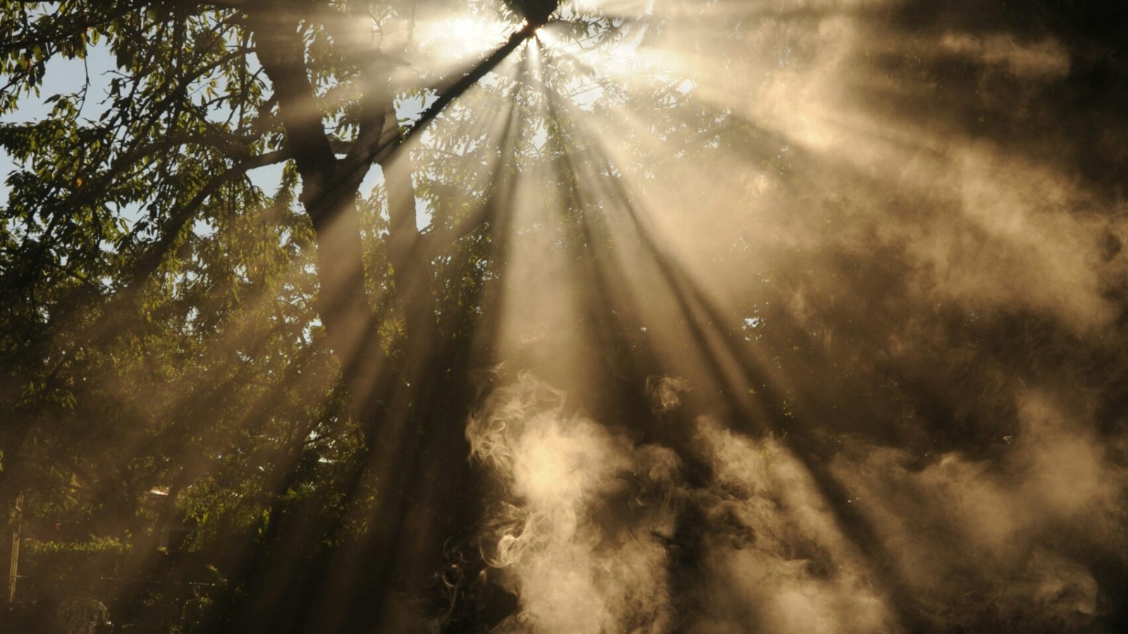 wonderlane-_rmULTYorYQ-unsplash