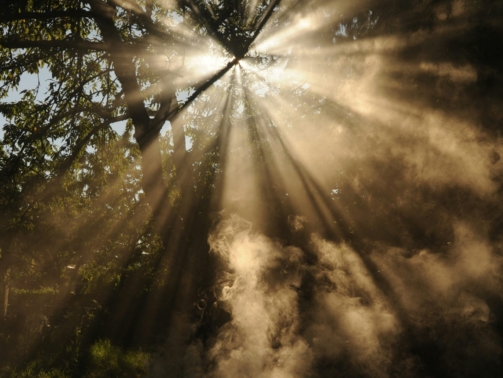wonderlane-_rmULTYorYQ-unsplash